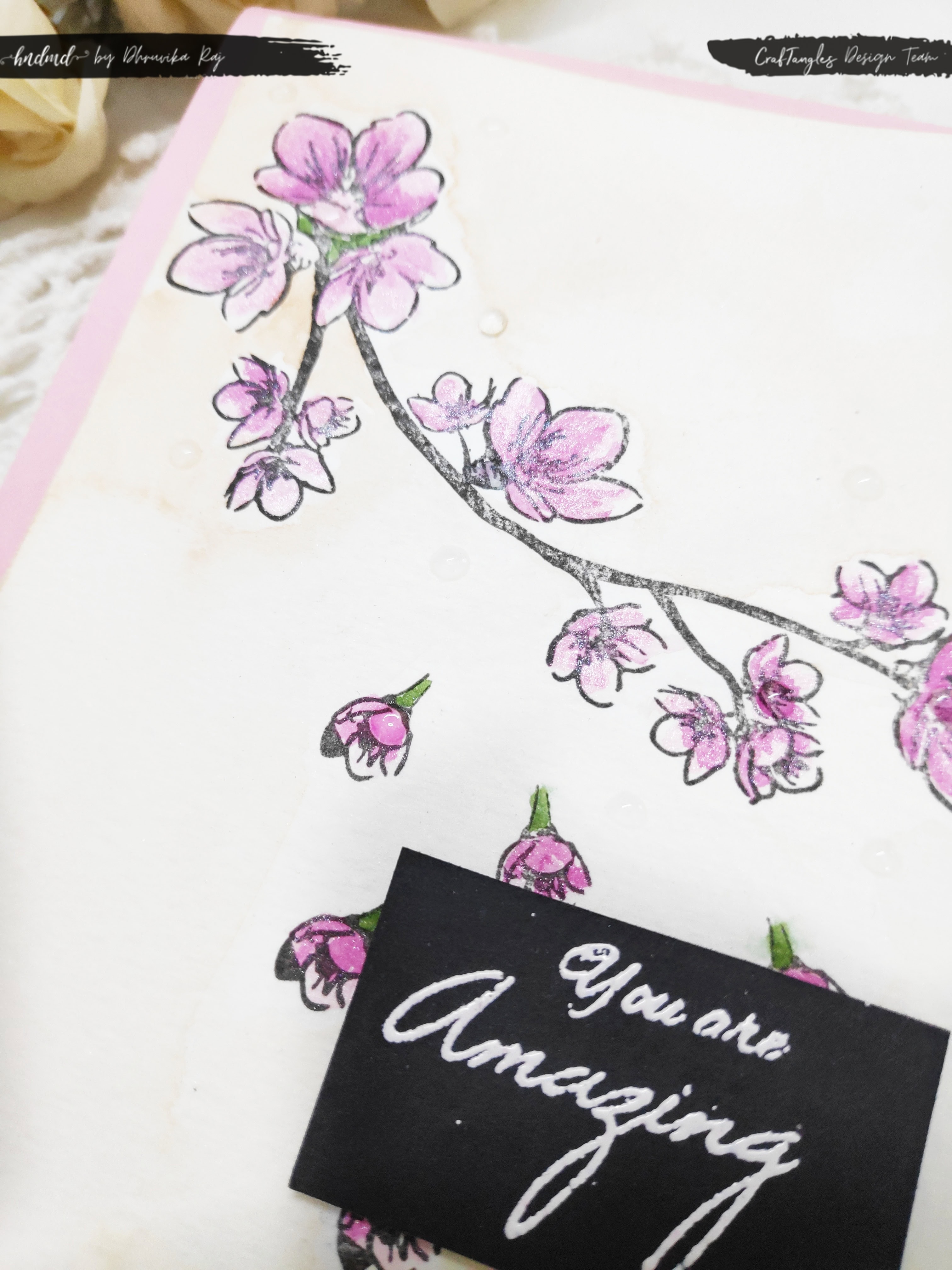 Awesome Cards To Celebrate the Women in your Life!!! 5 women in your life