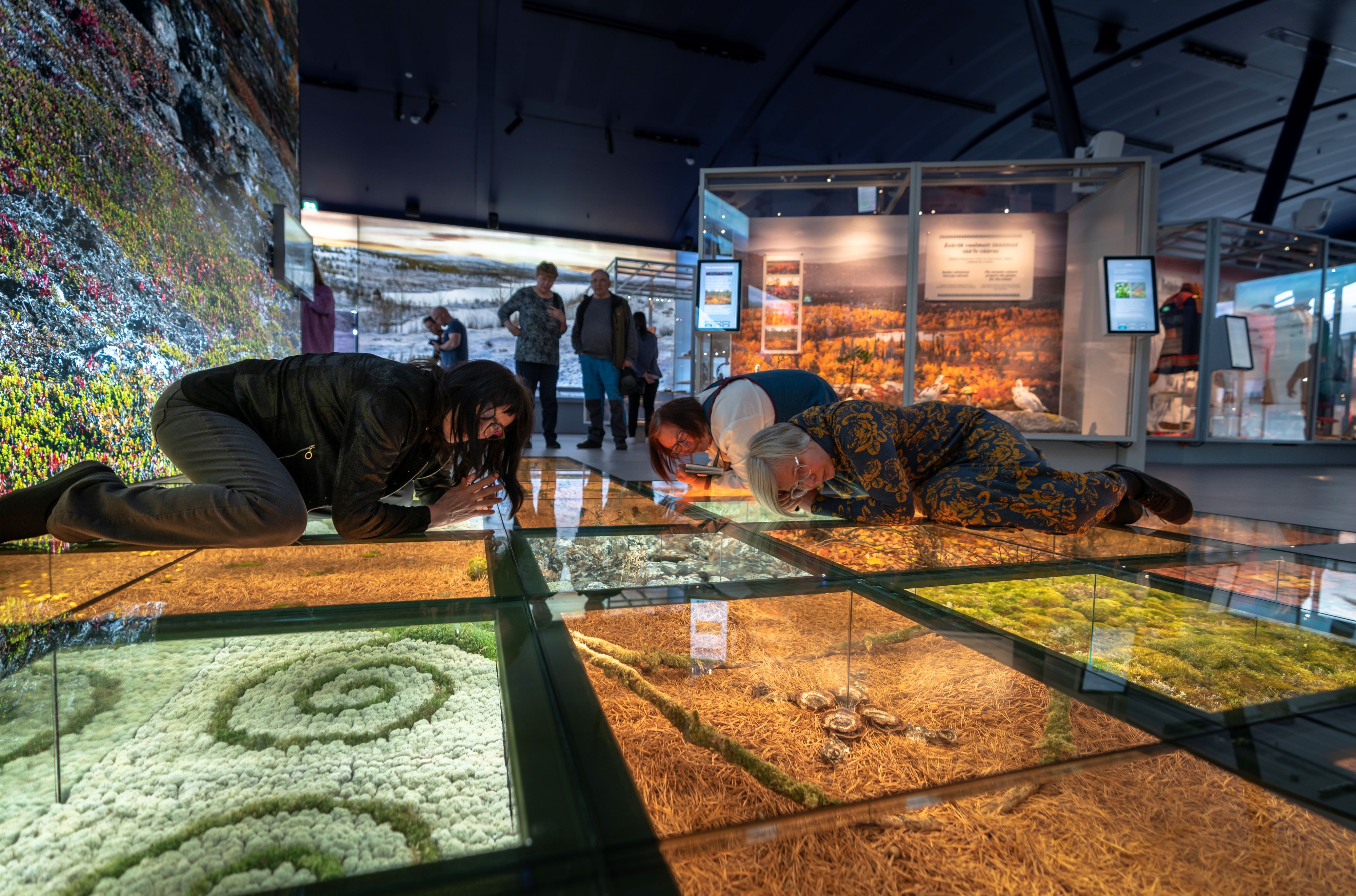 Discover Inari: Reindeer Farm, Open Fire Lunch, Sámi Museum & Nature CenterDay in Inari