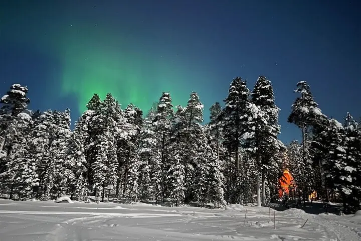 Polar Night Electric Snow Scooters