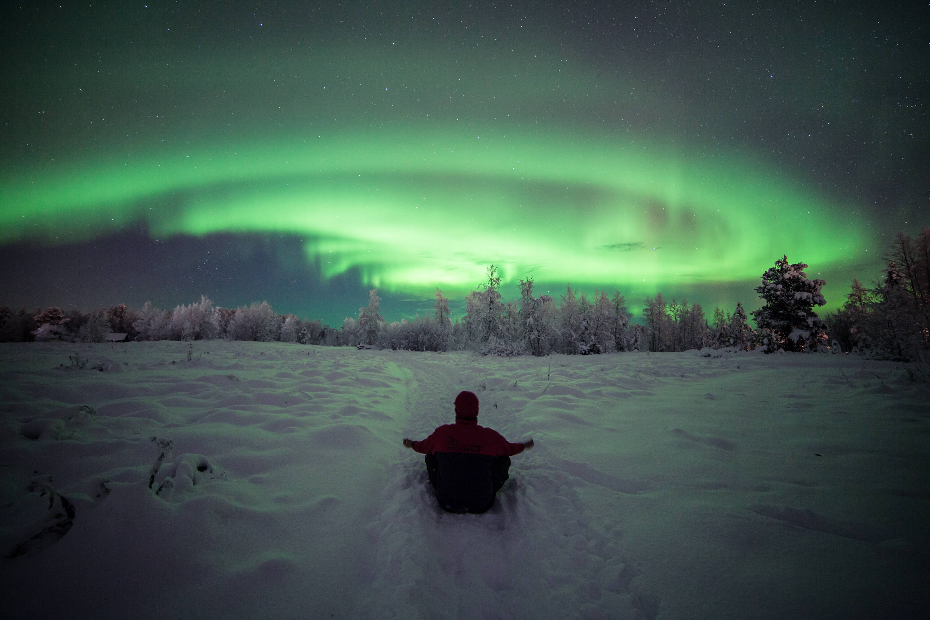Polar Night Snowshoe Trek in Forest