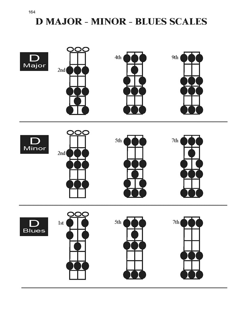cigar-box-guitar-the-ultimate-collection-volume-2-D-scales-diagrams