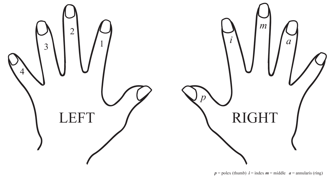 Classical Guitar Right-Left-Hand Names