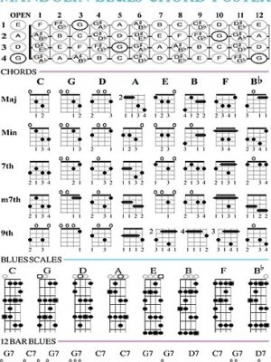 Mandolin Blues Chord Poster