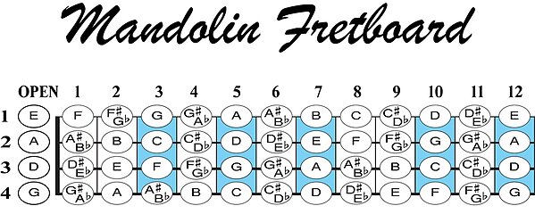 the Mandolin Fretboard