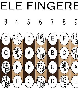 Ukulele Fingerboard Notes
