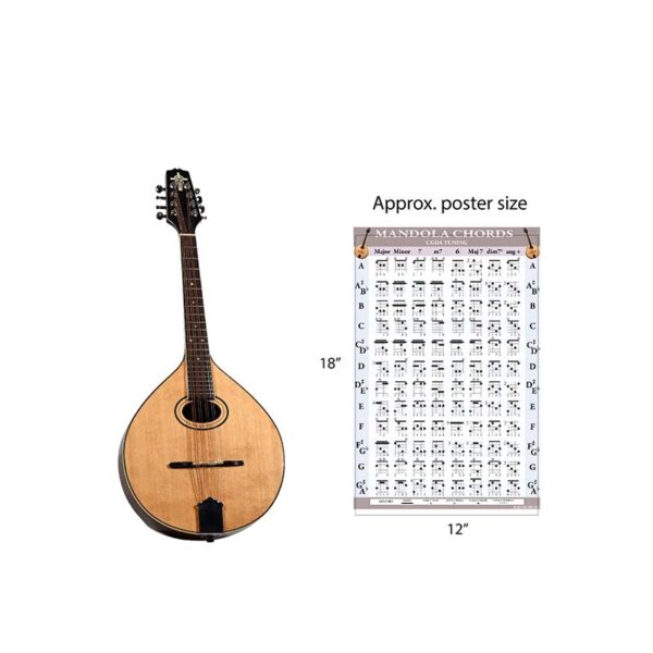 Mandola Chords and Fretboard Poster Set (CGDA Tuning) - Image 4