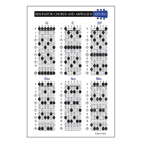 Resonator Dobro Chord Scale Poster 2
