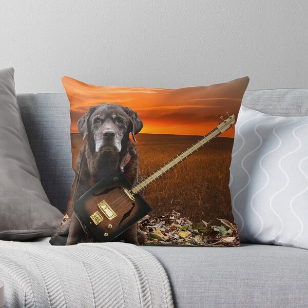 Teach and Old Dog New Tricks - Image 2