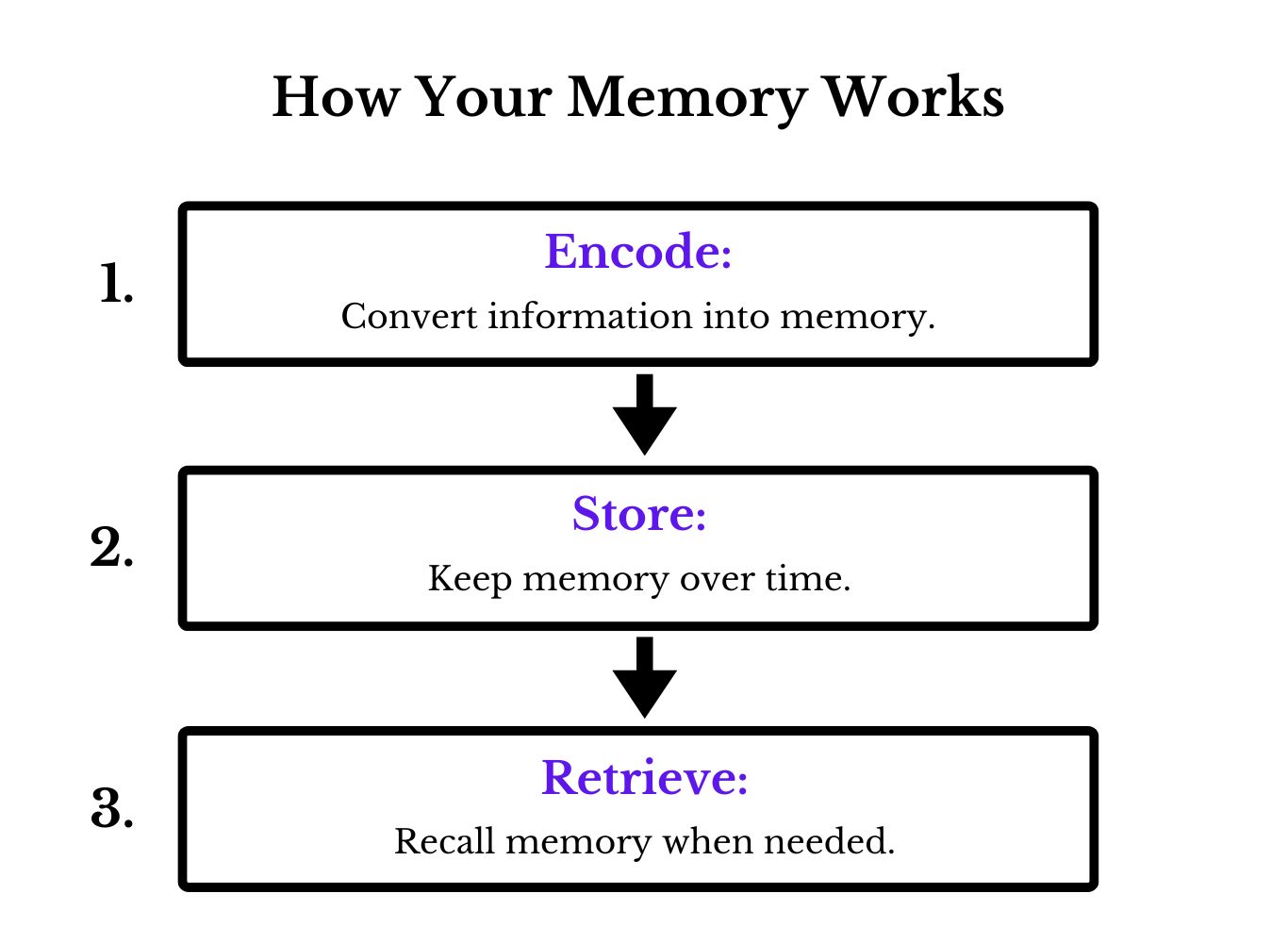 How memory works