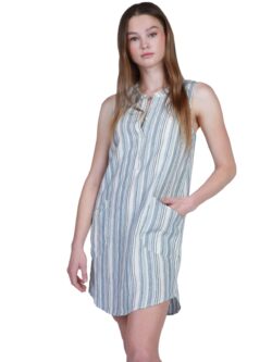 dylan drift dress in blue stripe