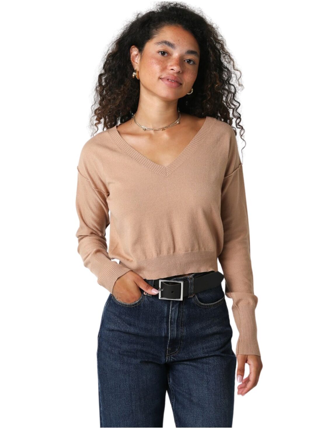 olivaceous v neck sweater in latte