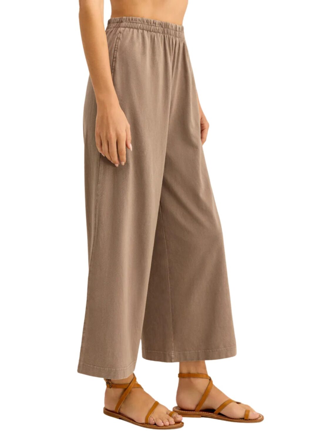 z supply scout jersey pant in iced coffee