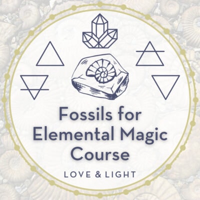 Fossils for Elemental Magic Course Icon