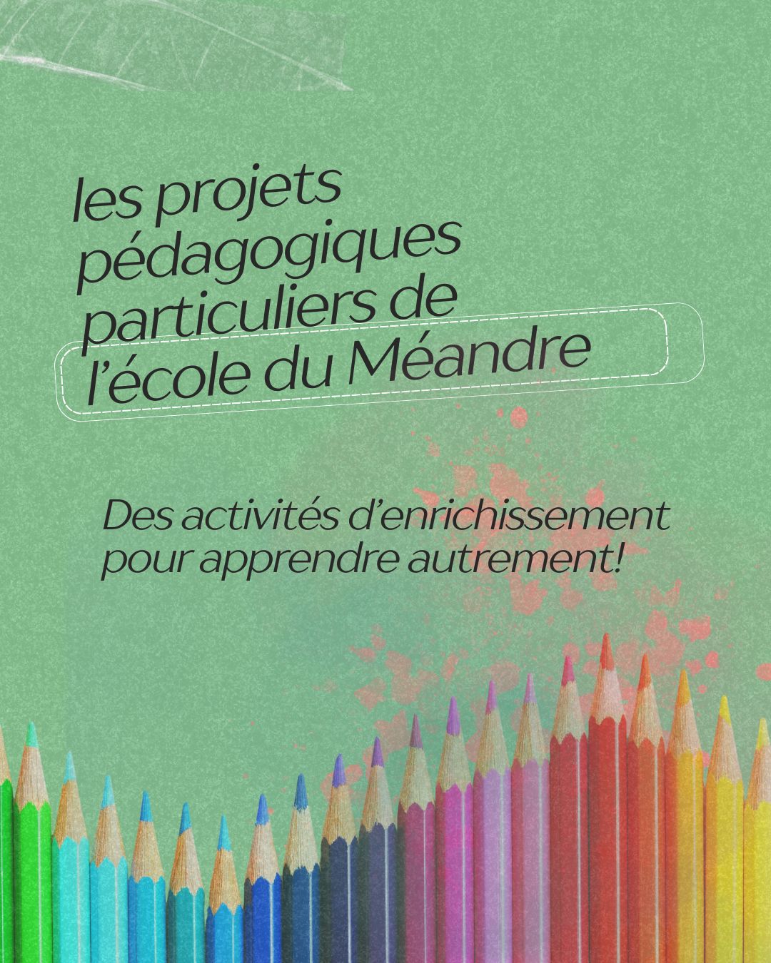 Les projets pédagogiques particuliers