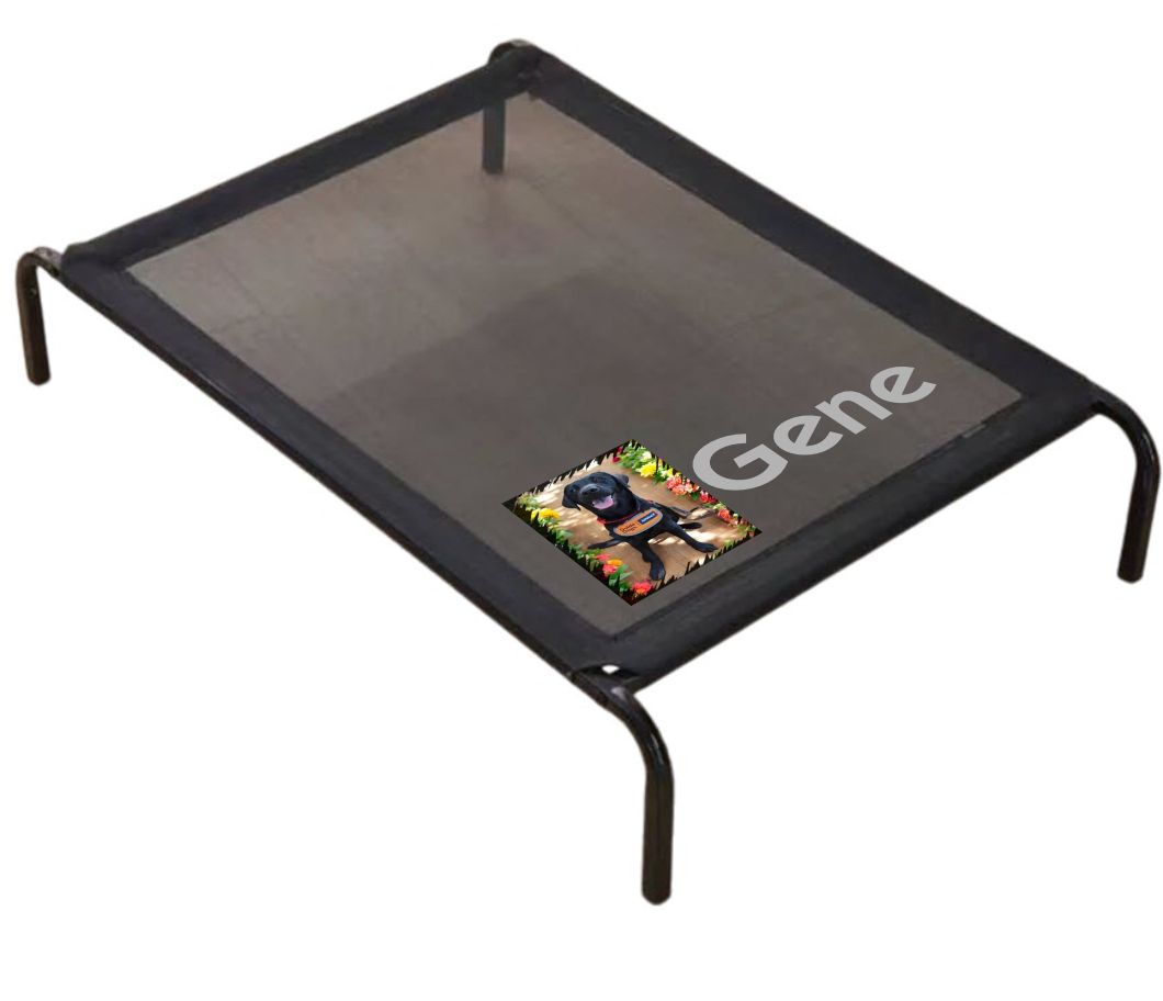 PERSONALISED ELEVATED DOG BEDS - LARGE