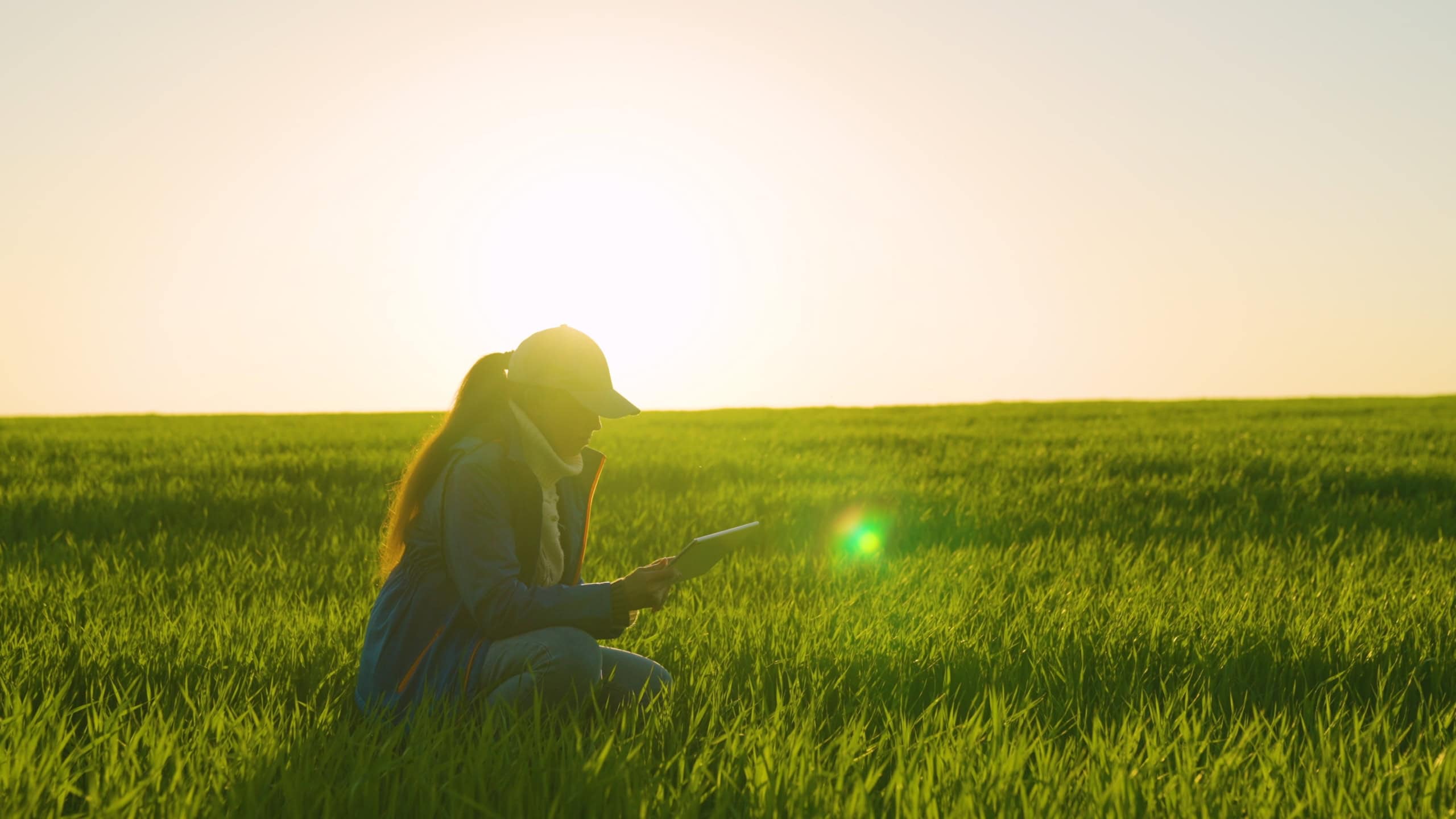 Perfil de Executivos Mais Procurados pelas Empresas do Agronegócio