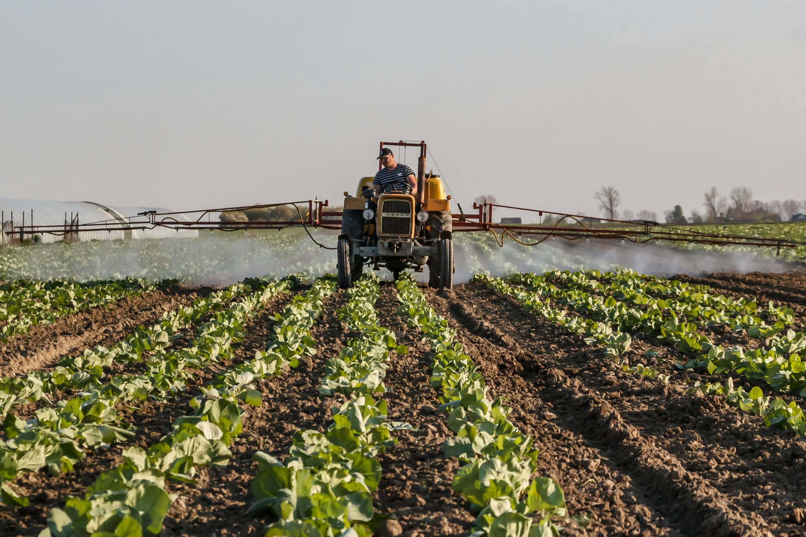 Mato Grosso vive um forte momento de crescimento, mas esbarra no capital humano