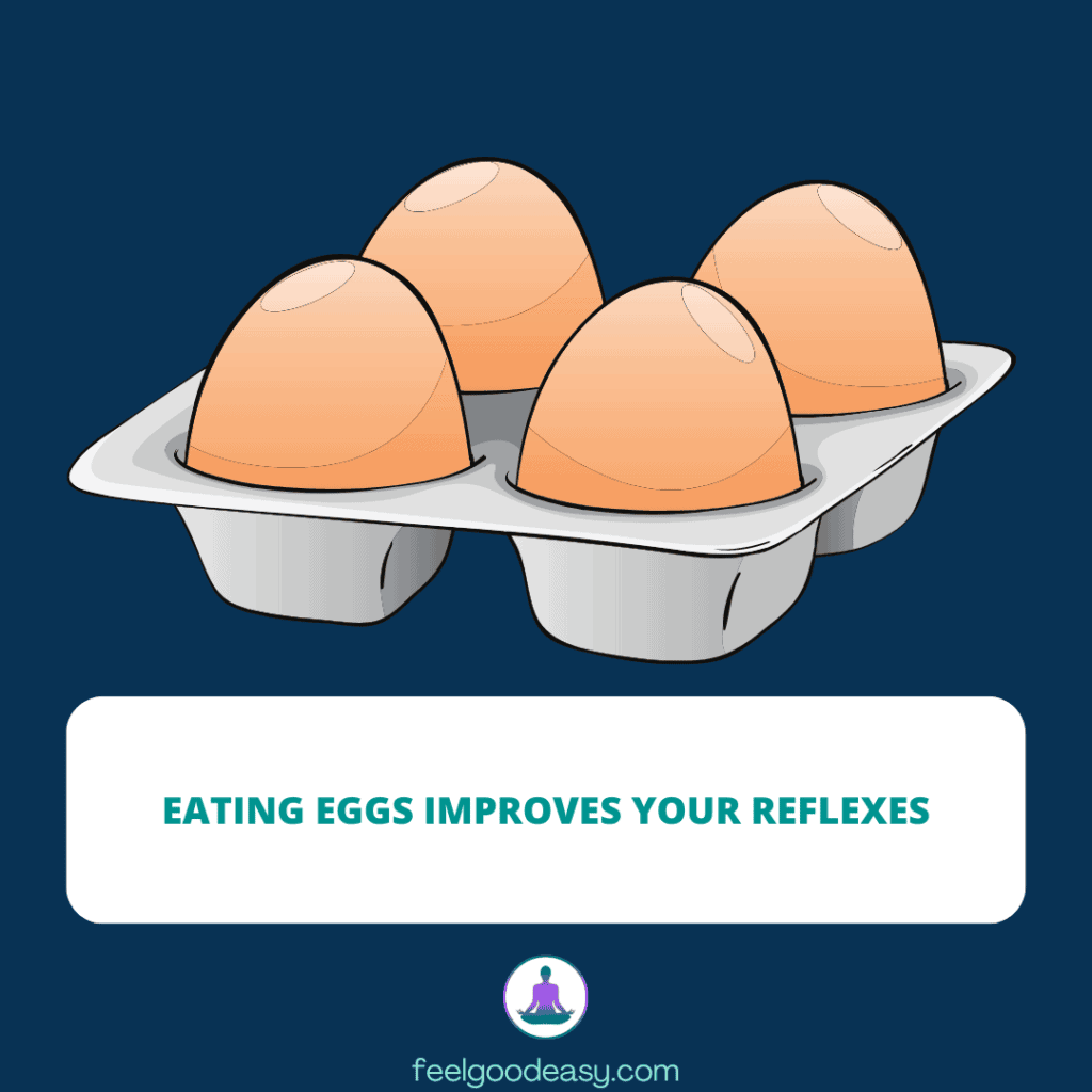 Eating eggs improves your reflexes