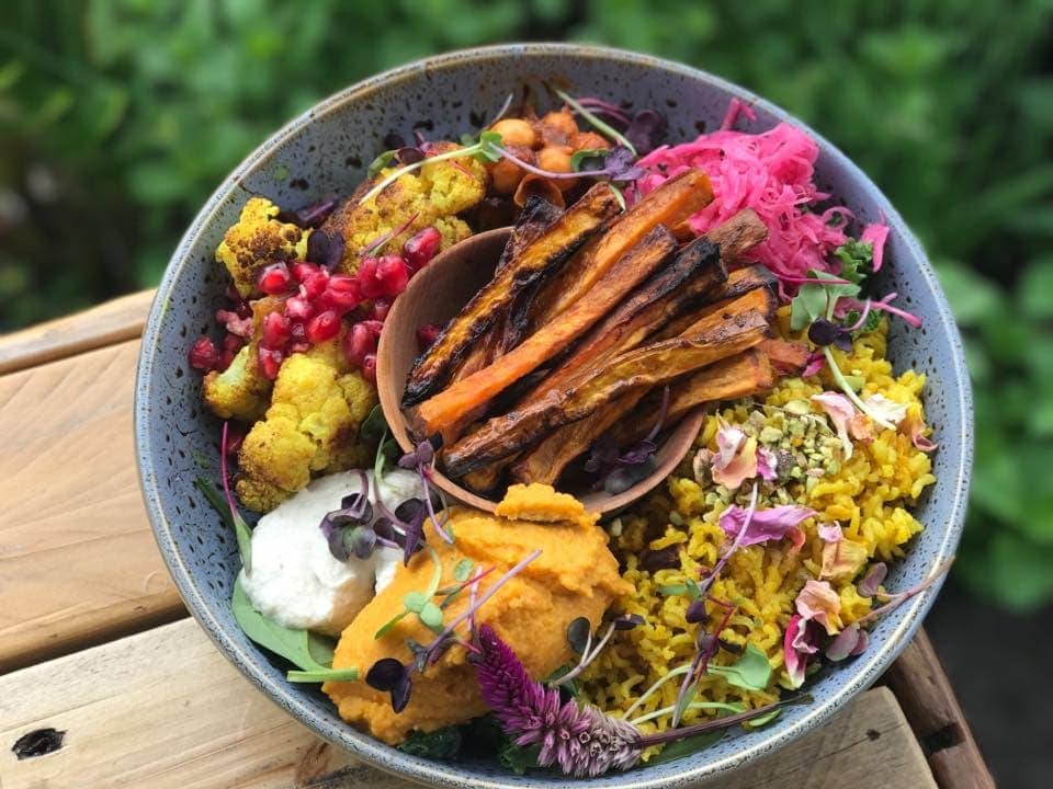 The Shak Organic Cafe Image 2 Chow For Now
