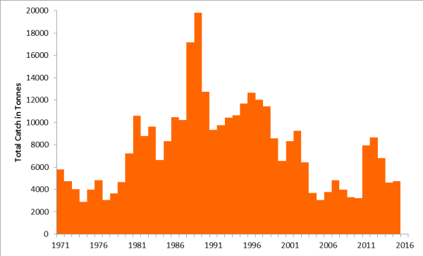 Atlantic Cod: The Good, The Bad, and the Rebuilding - Part 1 ...