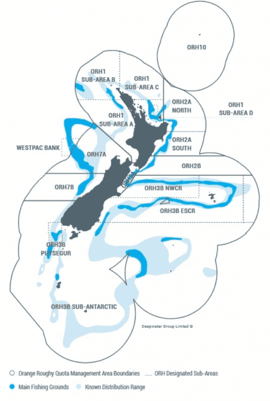 nz
