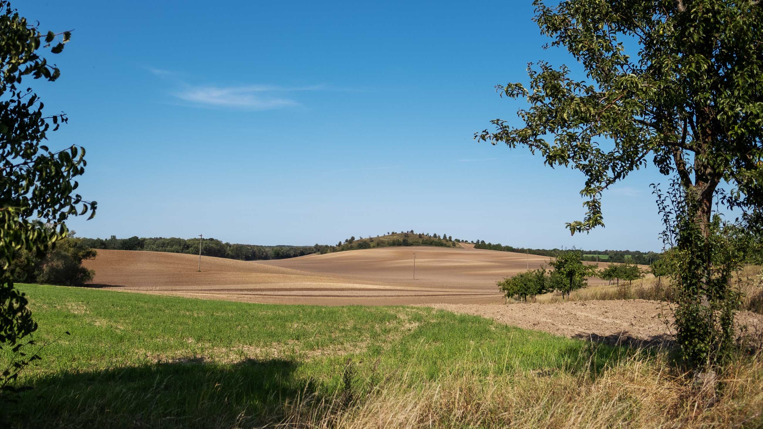 Wanderung Brodowin