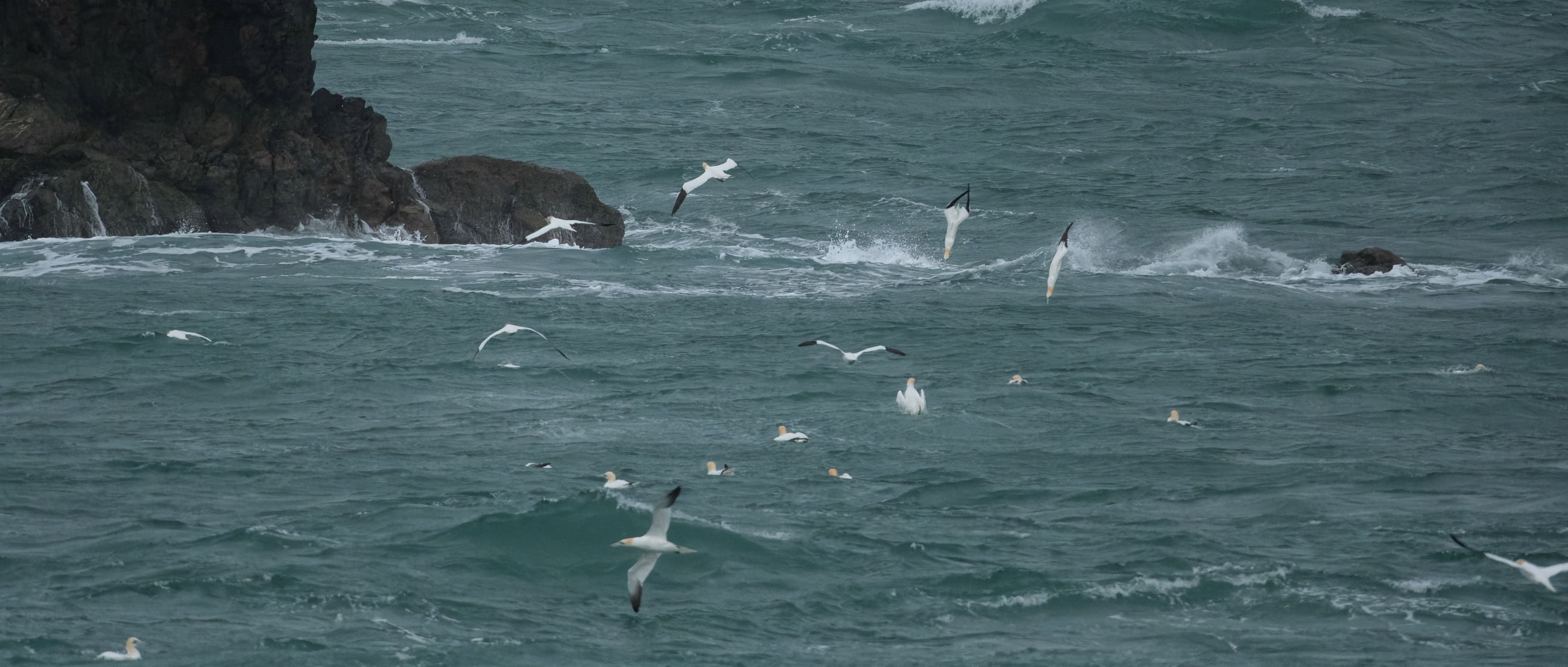 pointe de jardeheu