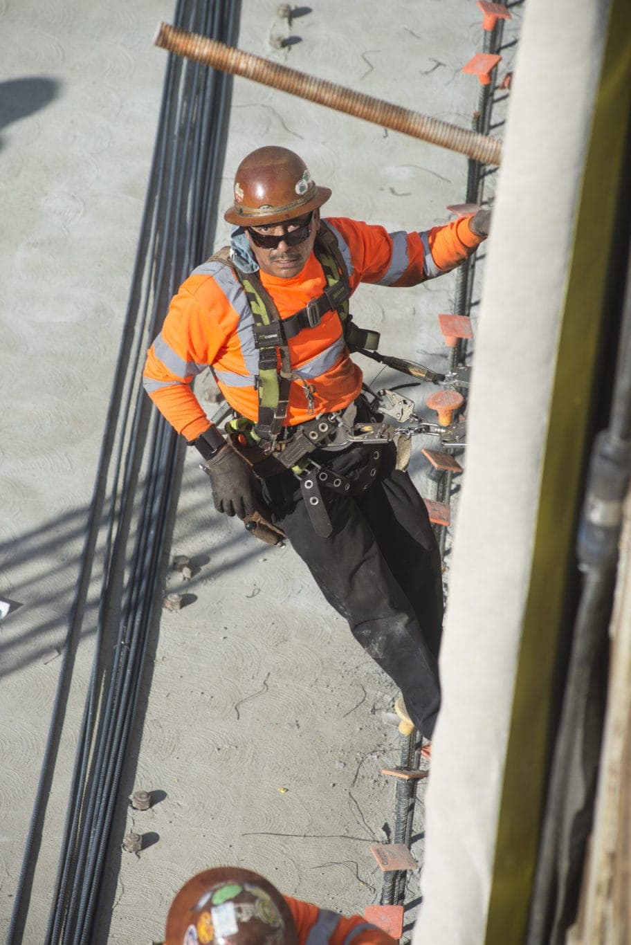 Los Angeles Project Work