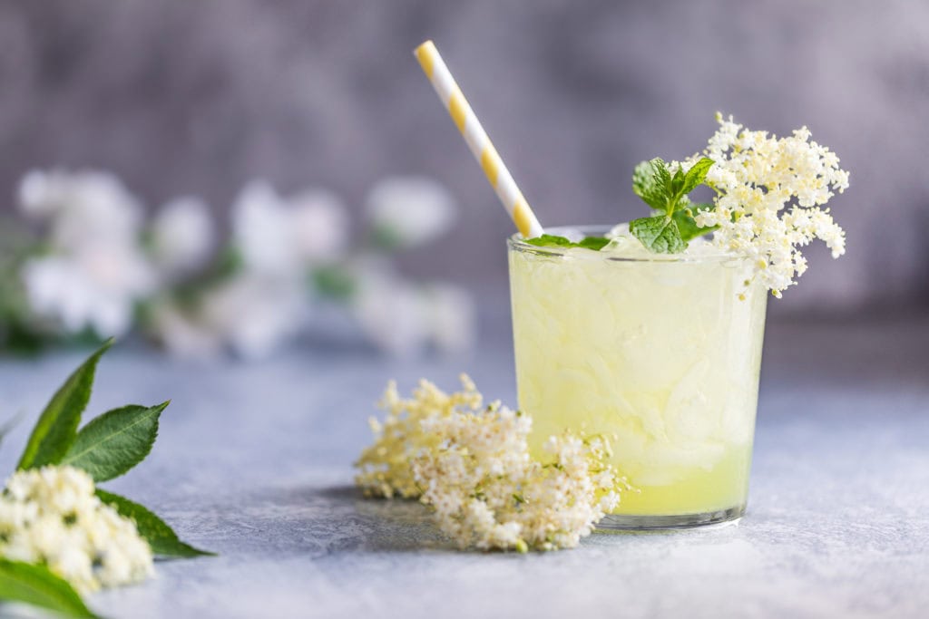 elderflower drinks