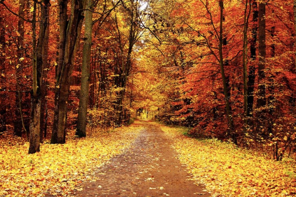 Autumn Equinox