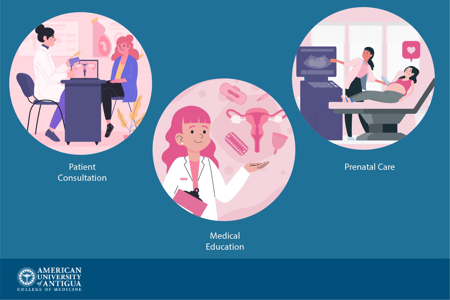 How Long Does It Take To Become a Gynecologist? - American University ...