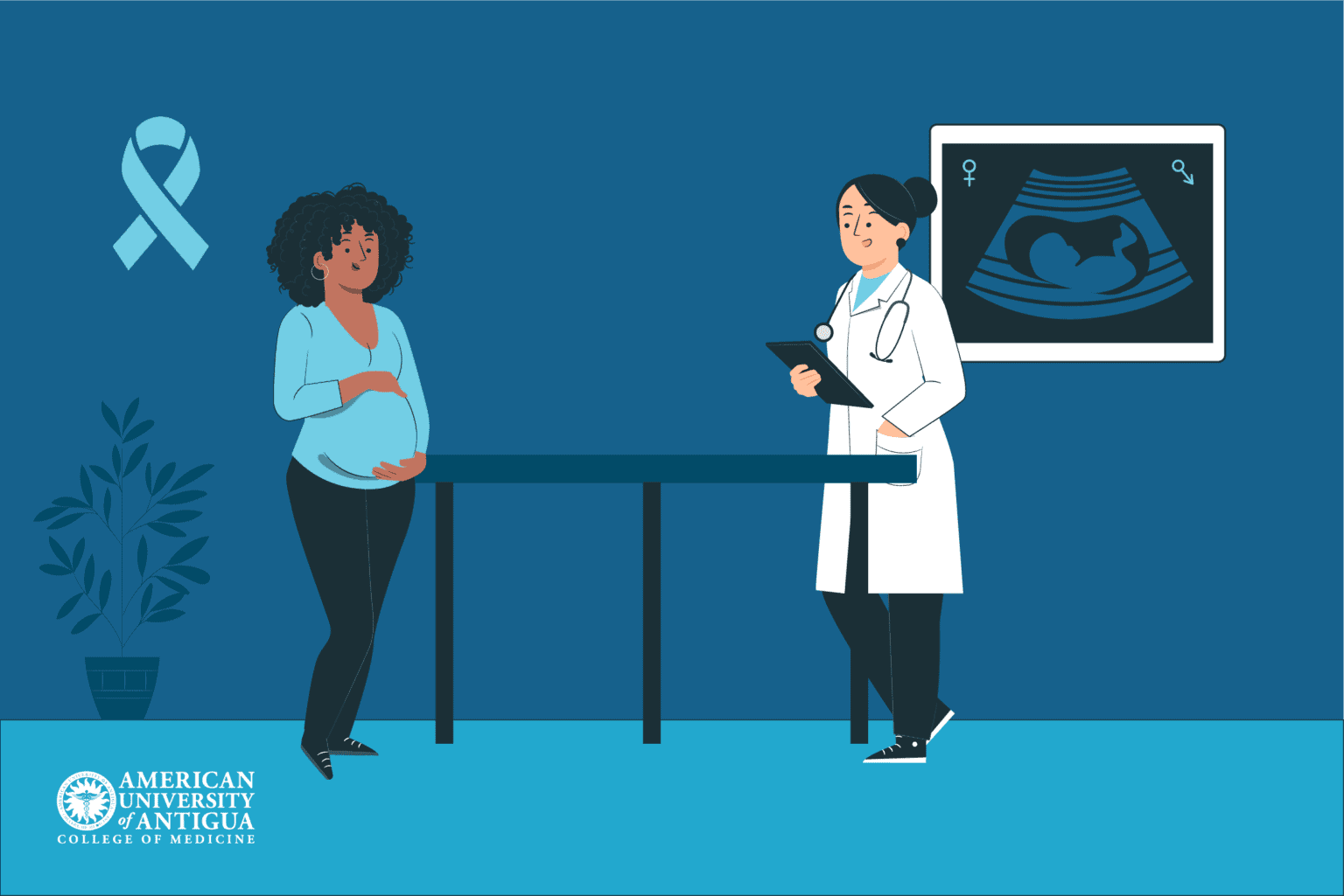 What Are the Ob-Gyn Education Requirements? - American University of ...