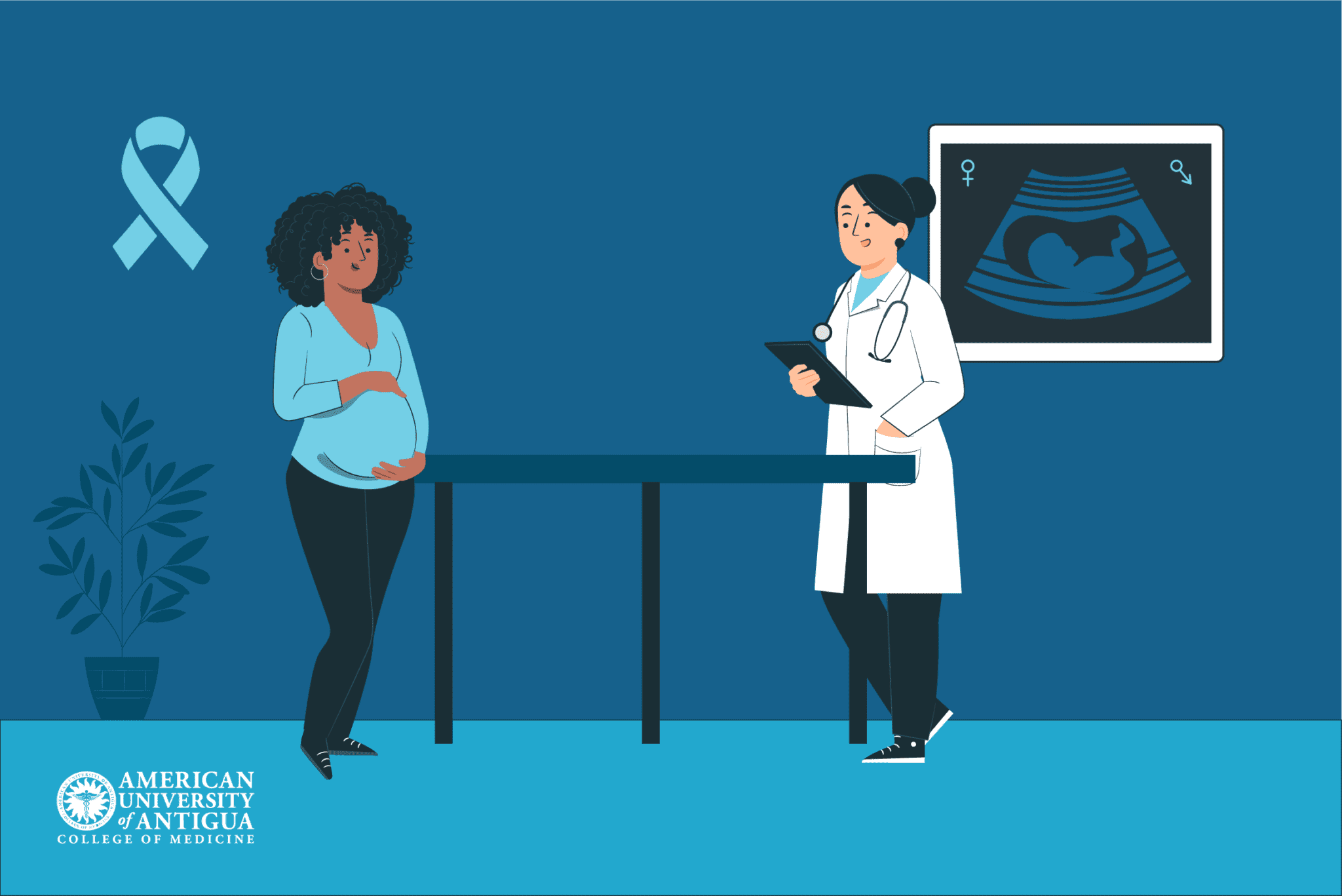 What Are the Ob-Gyn Education Requirements? - American University of ...