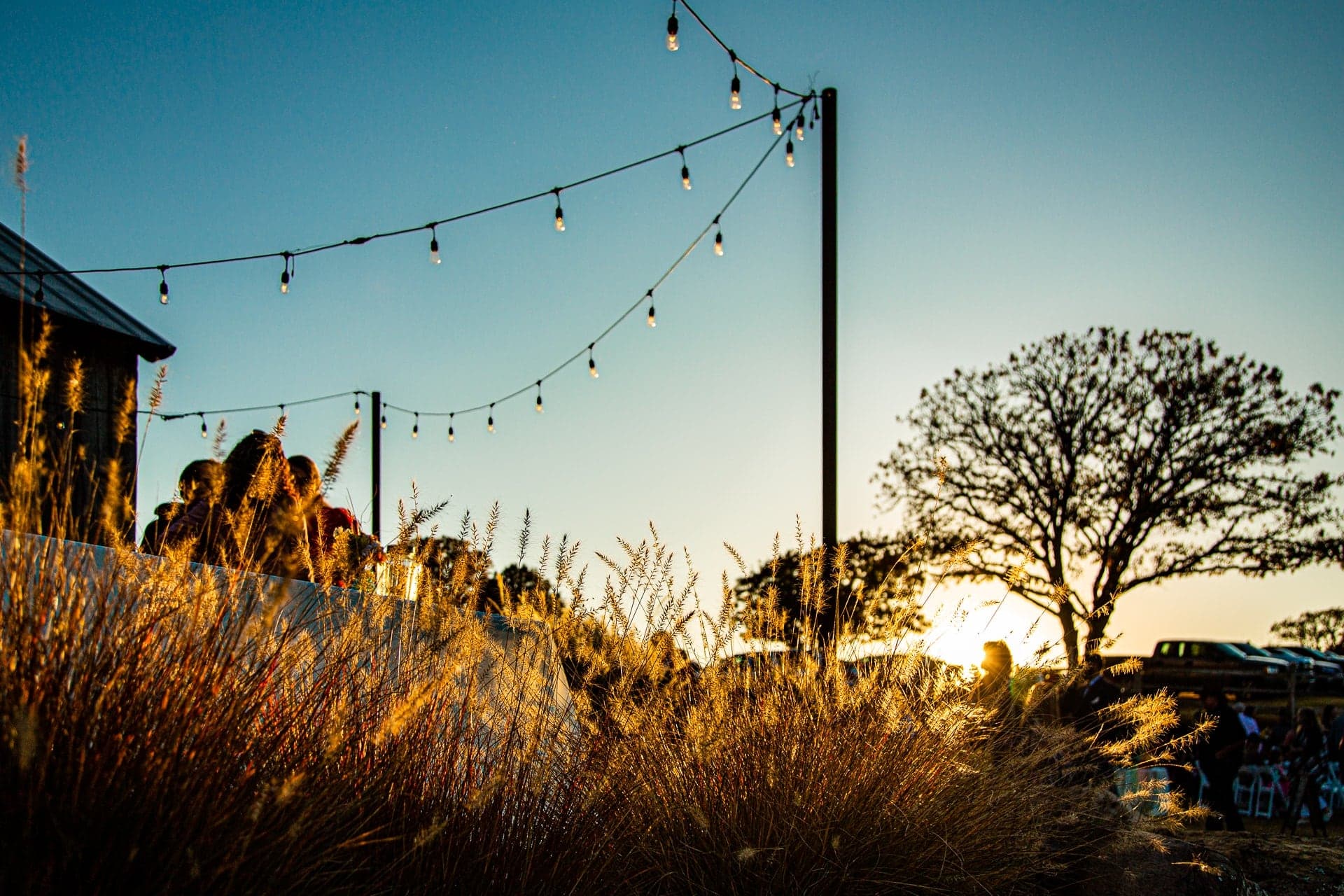 Outdoor lighting at Esperanza Ranch