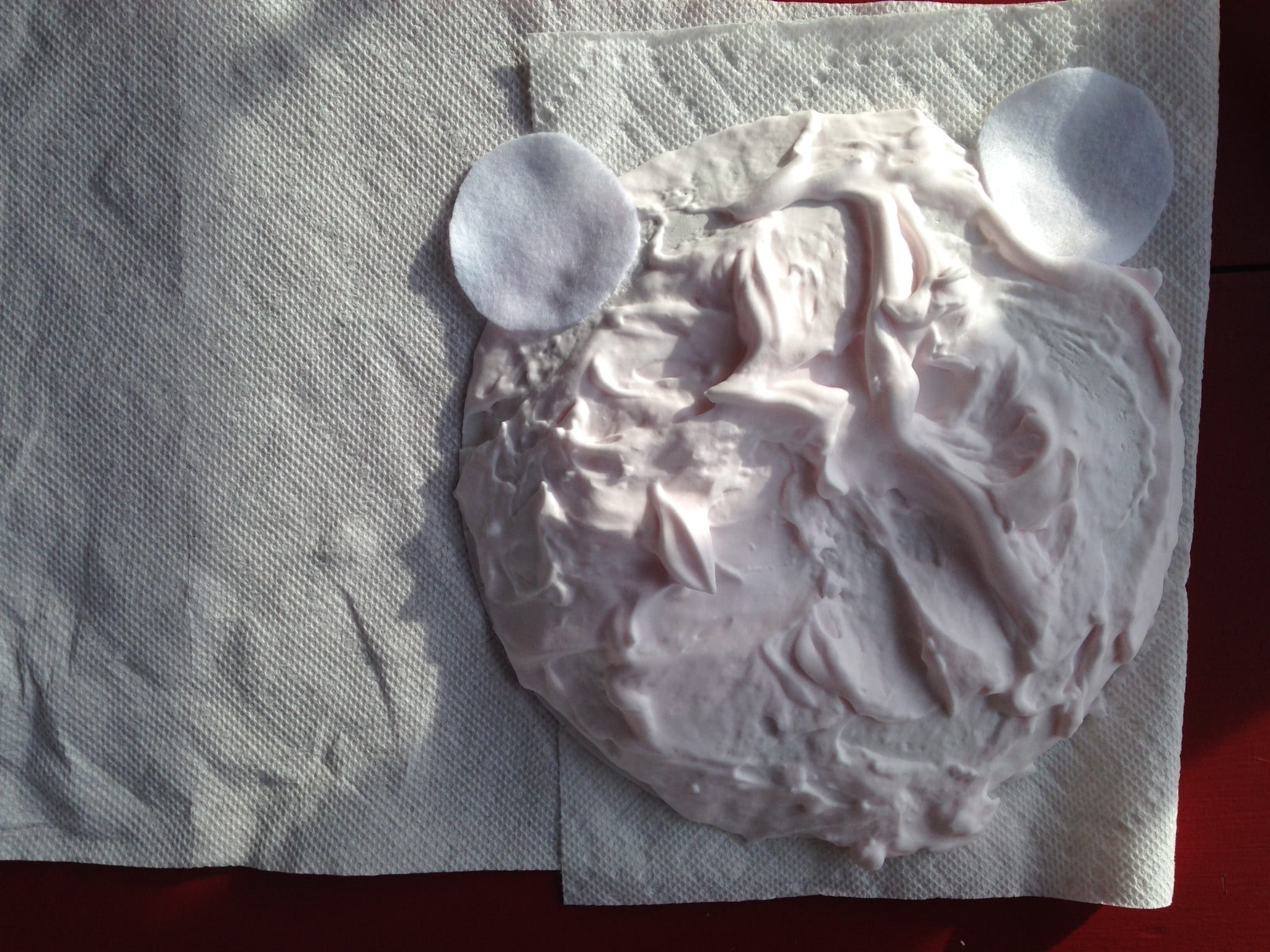 The Future Of Polar Bear Fur: Will Shaving Become Commonplace? - 95t3nw6