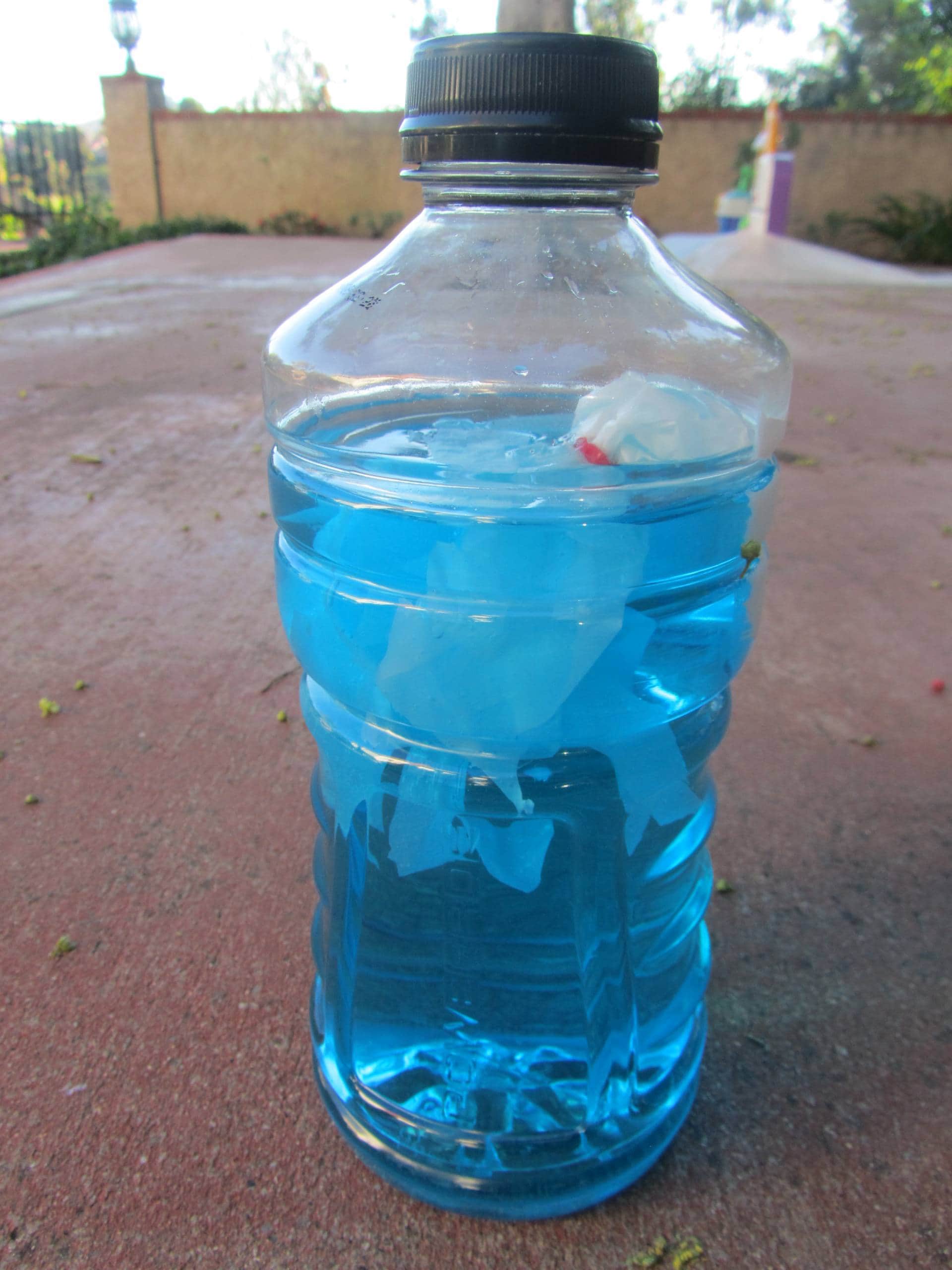 Jellyfish in a Bottle - Green Kid Crafts