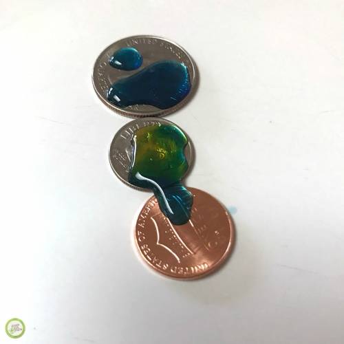 Water Surface Tension Experiment for Kids Green Kid Crafts