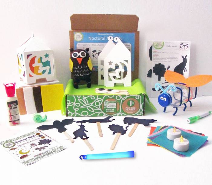 Nocturnal Animals Craft Box