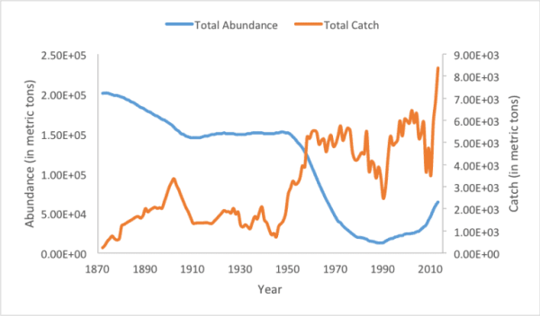 Figure 1. Total abundance and catch (in metric tons) of Gulf of Mexico red snapper from 1872 to 2013. Data from NMFS stock assessment database. 