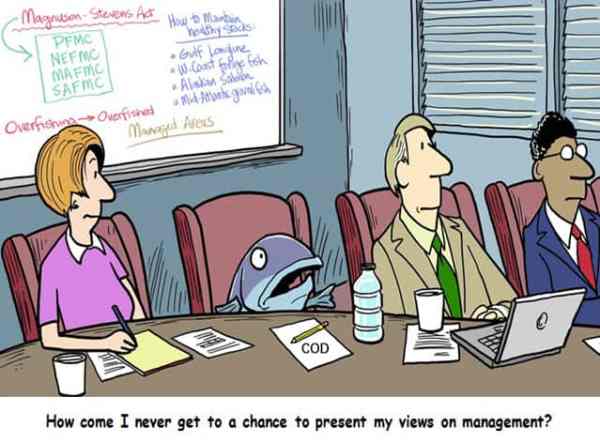 how-come-i-never-get-a-chance-to-present-my-views-on-management