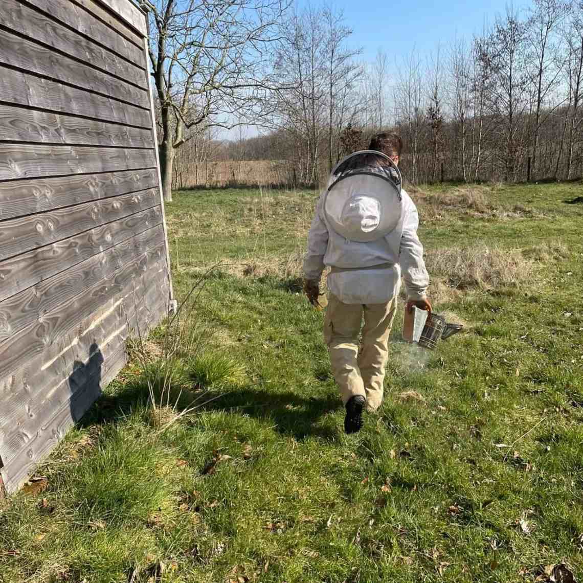 buzzy-beekeeper-imker-worden