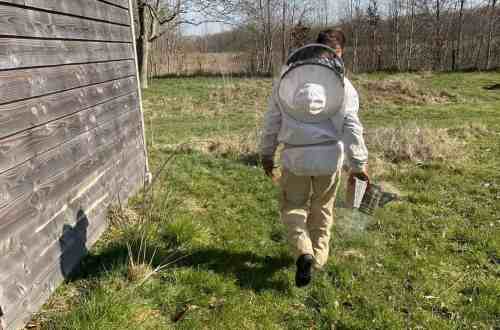 buzzy-beekeeper-imker-worden