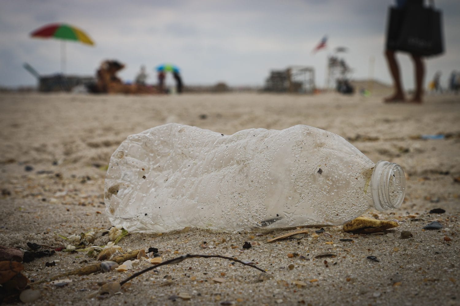 plastic water bottle littered on beach