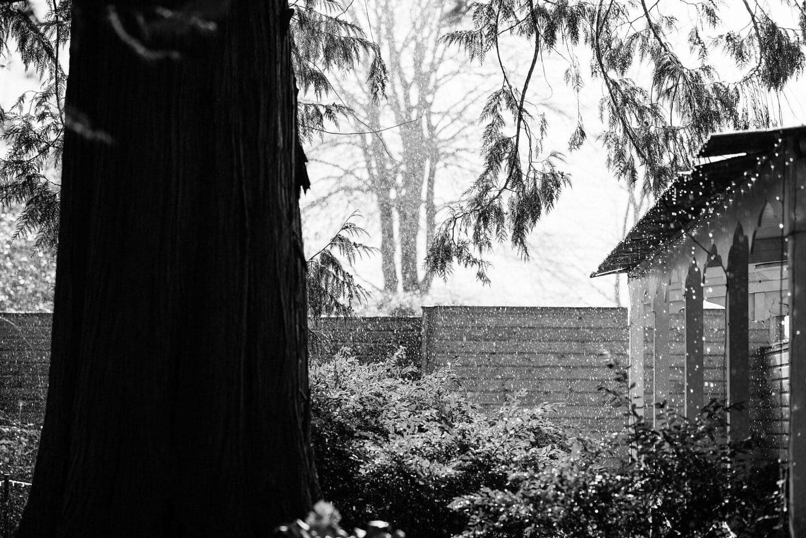 Rain at a Larmertree Garden wedding