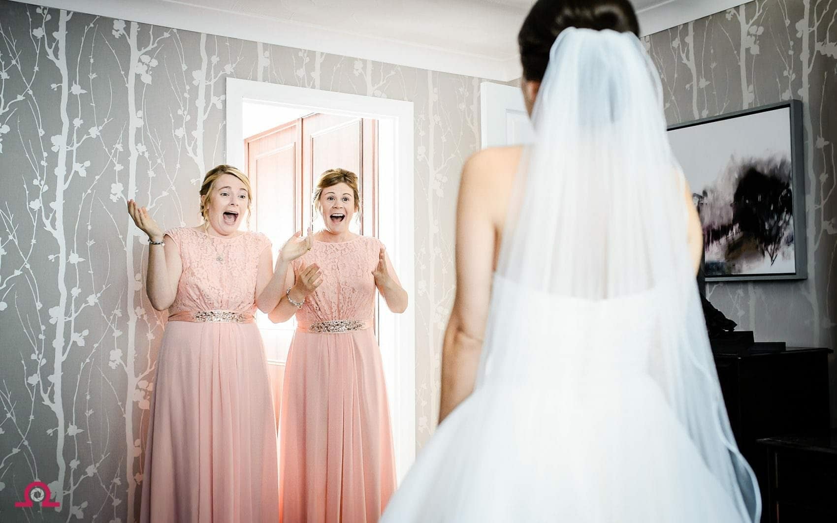 Bridesmaids-reaction-to-wedding-dress