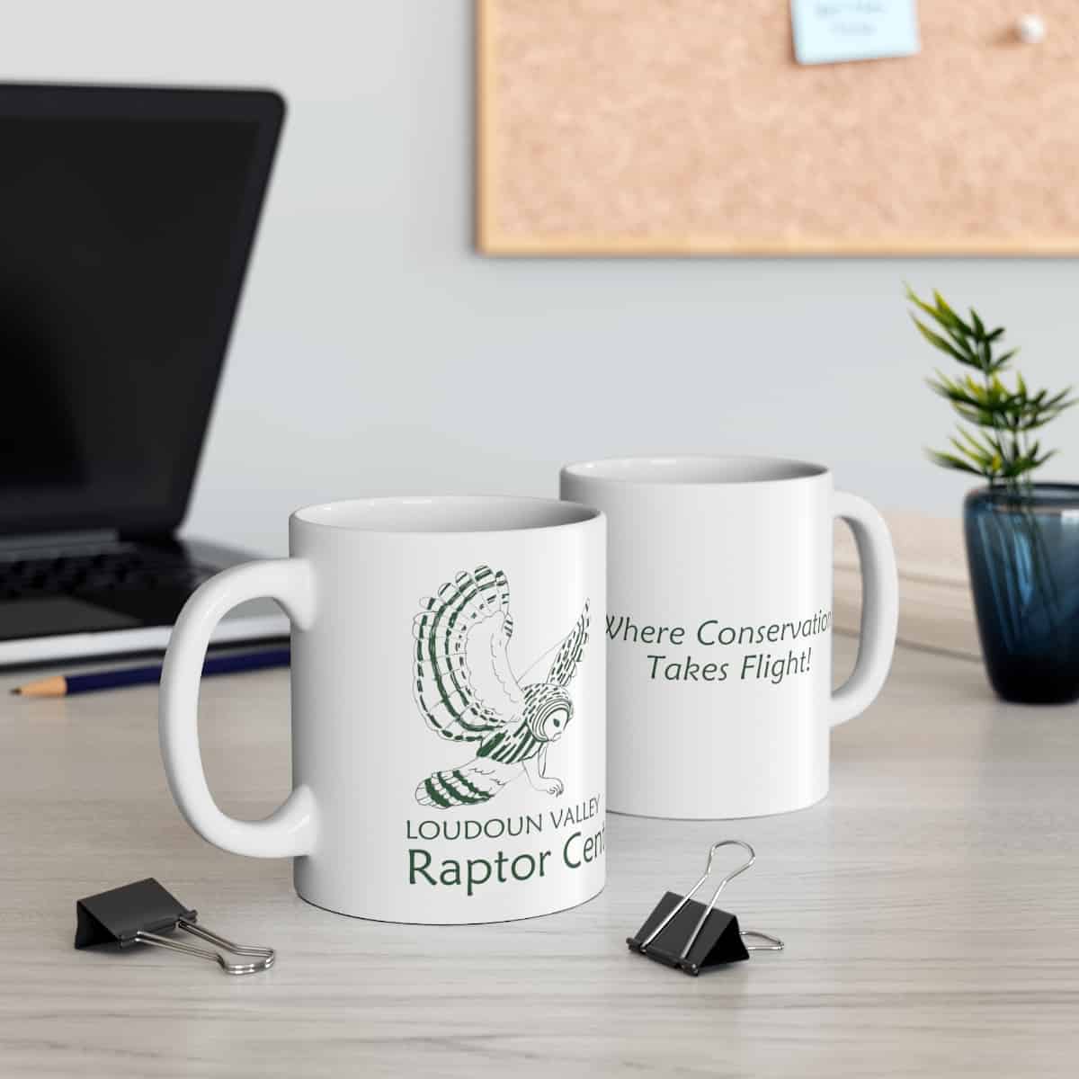 Ceramic Mug 11oz - Conservation - Green