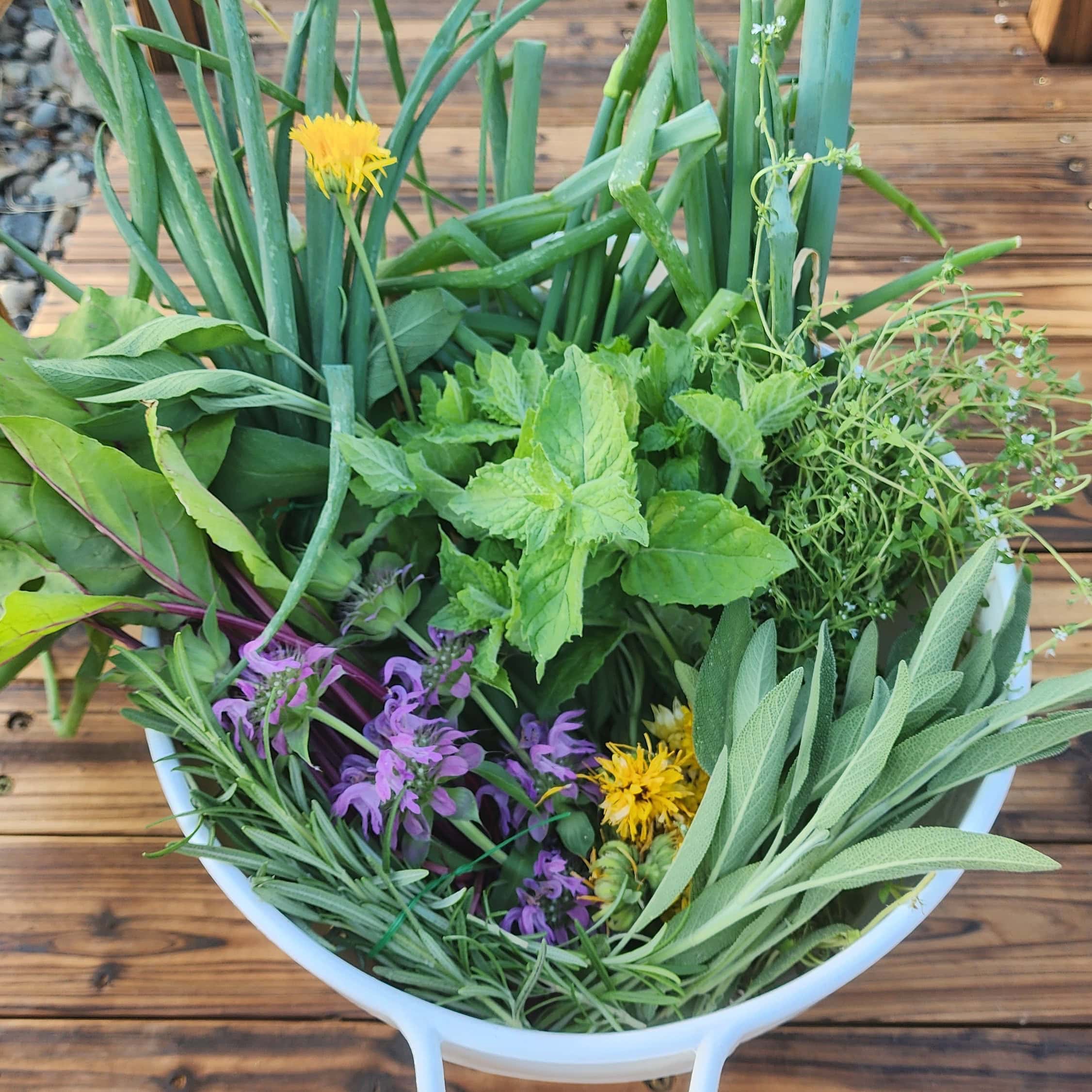 Cultivating Green Thumbs: Why Kids Should Garden