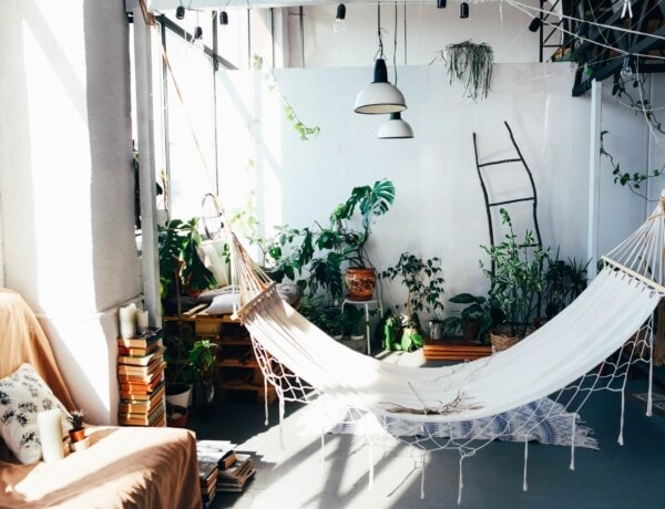hammock in room with natural light and plants