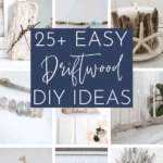 25+ easy driftwood DIY ideas