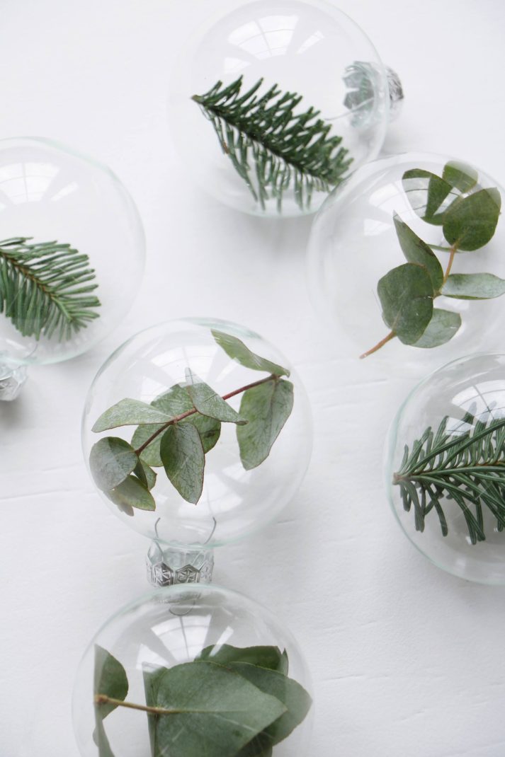 plant branches inside Christmas bauble ornament